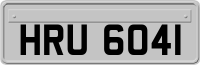 HRU6041
