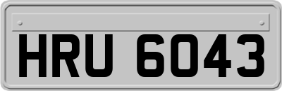 HRU6043
