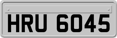 HRU6045