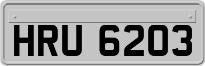HRU6203