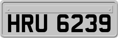 HRU6239