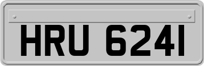 HRU6241