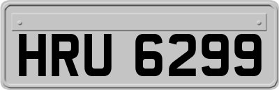 HRU6299