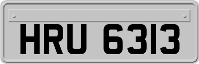HRU6313