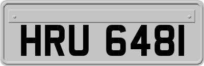 HRU6481