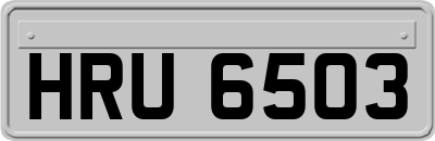 HRU6503