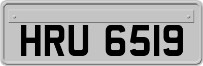 HRU6519
