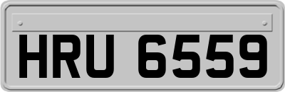 HRU6559