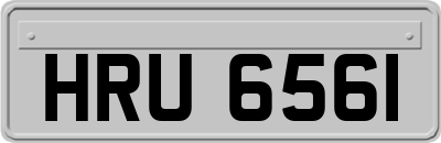 HRU6561