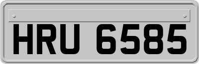 HRU6585