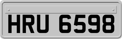 HRU6598