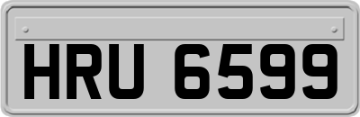 HRU6599