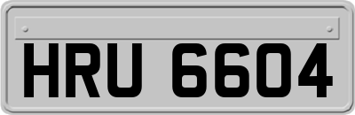 HRU6604