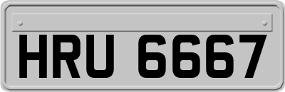 HRU6667