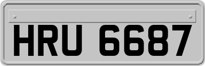 HRU6687
