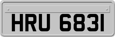 HRU6831
