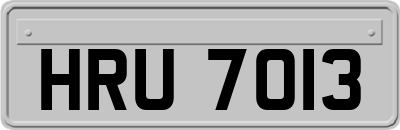 HRU7013