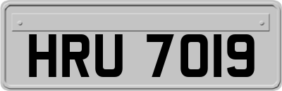 HRU7019