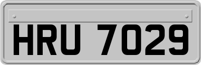 HRU7029