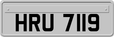HRU7119