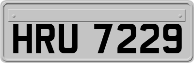 HRU7229
