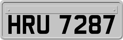 HRU7287