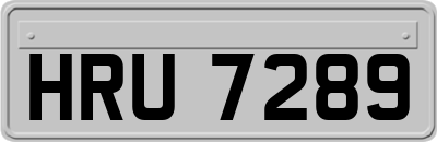 HRU7289