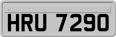 HRU7290