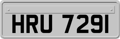HRU7291