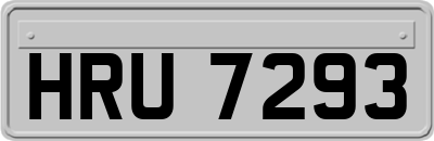 HRU7293