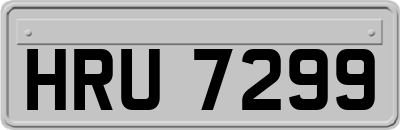 HRU7299