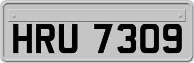 HRU7309