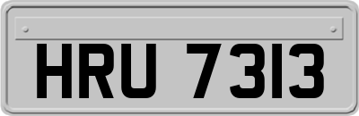 HRU7313