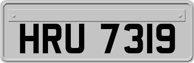HRU7319