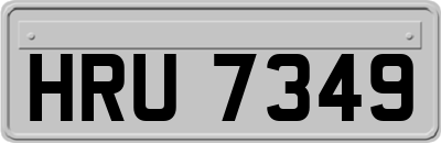 HRU7349