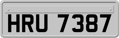 HRU7387