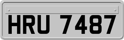 HRU7487