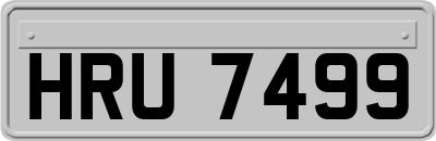HRU7499