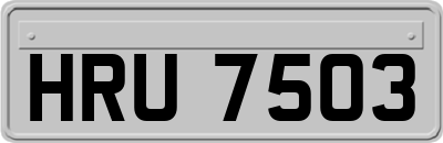 HRU7503
