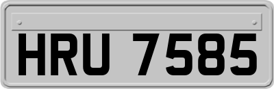 HRU7585