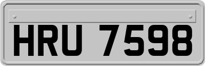 HRU7598