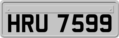HRU7599