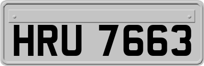 HRU7663