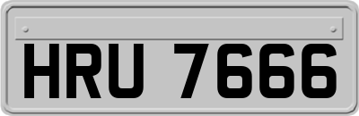 HRU7666