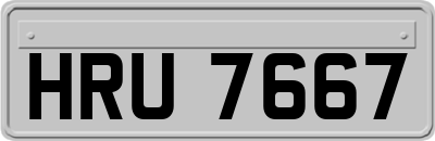HRU7667