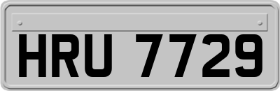 HRU7729