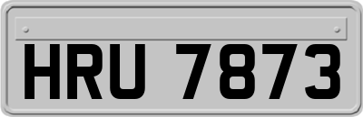 HRU7873