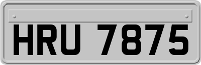 HRU7875