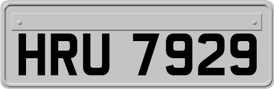 HRU7929