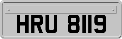 HRU8119